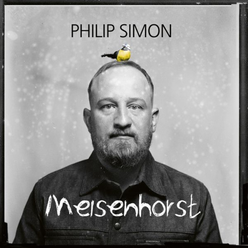 Philip Simon - Philip Simon, Meisenhorst