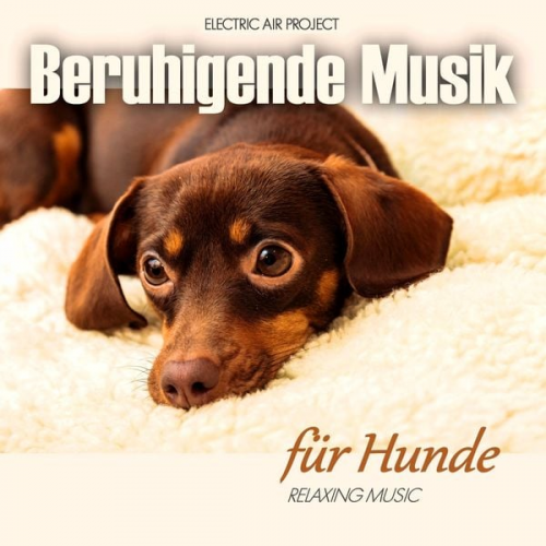 Electric Air Project - Beruhigende Musik Für Hunde