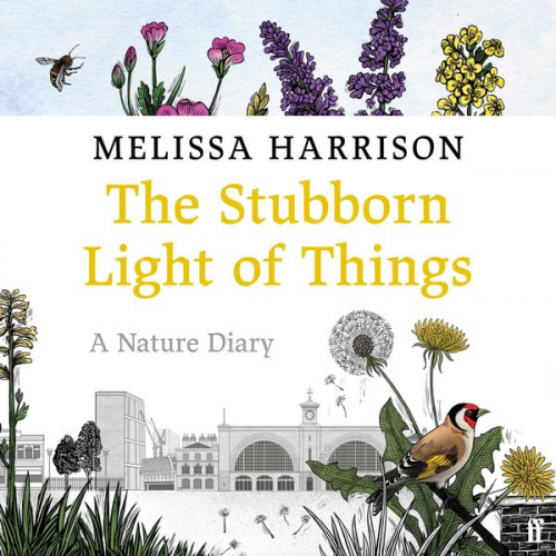 Melissa Harrison - The Stubborn Light of Things