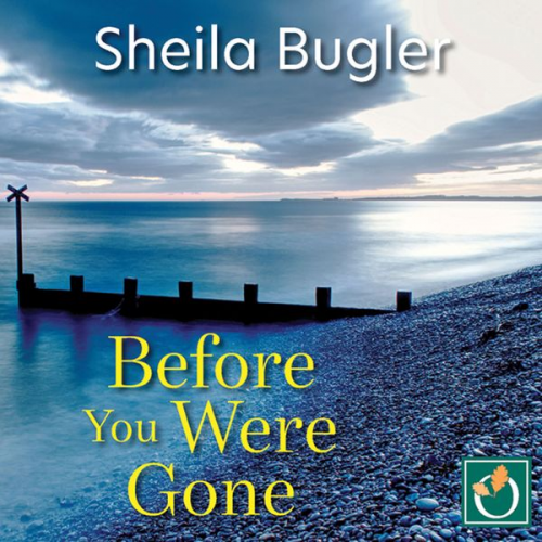 Sheila Bugler - Before You Were Gone