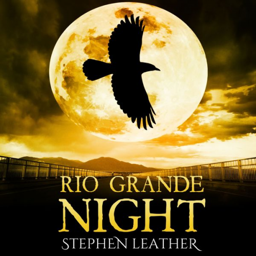 Stephen Leather - Rio Grande Night