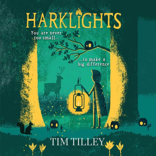 Tim Tilley - Harklights