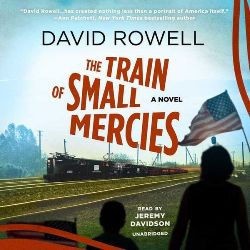 David Rowell - The Train of Small Mercies