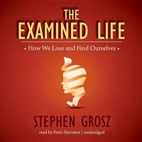 Stephen Grosz - The Examined Life: How We Lose and Find Ourselves