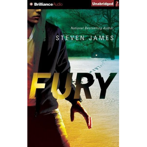 Steven James - Fury