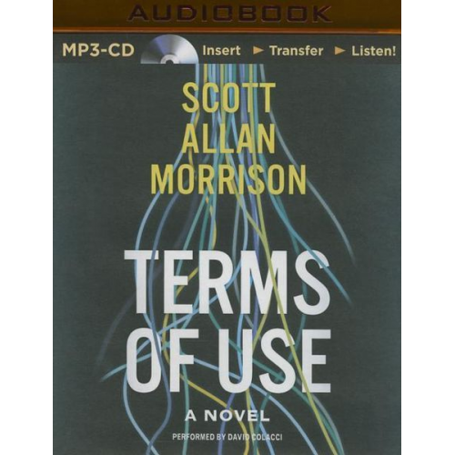 Scott Allan Morrison - Terms of Use