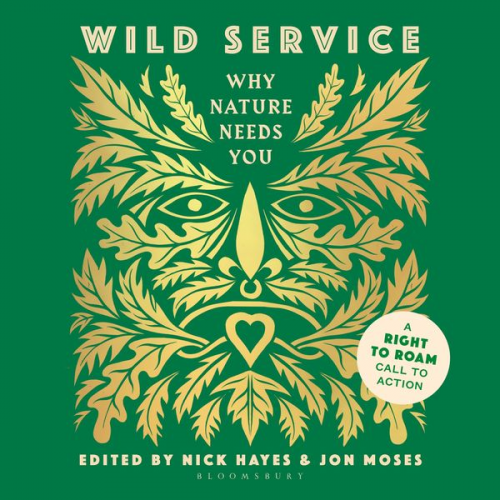 Nick Hayes - Wild Service