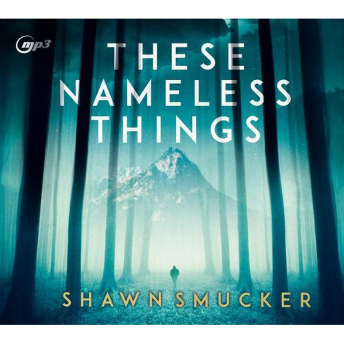 Shawn Smucker - These Nameless Things