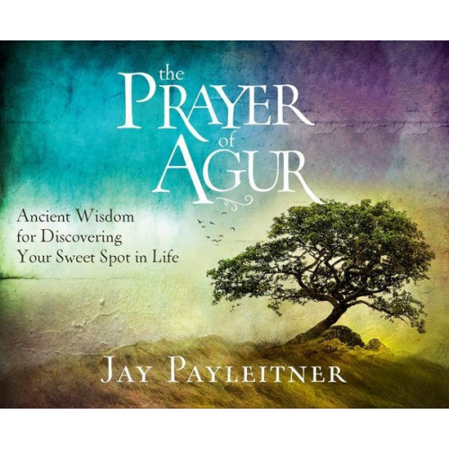 Jay Payleitner - The Prayer of Agur: Ancient Wisdom for Discovering Your Sweet Spot in Life