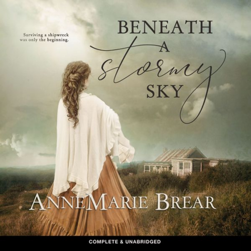 AnneMarie Brear - Beneath a Stormy Sky