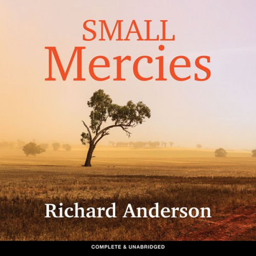 Richard Anderson - Small Mercies