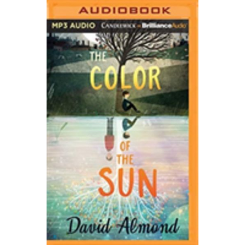 David Almond - The Color of the Sun