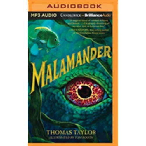 Thomas Taylor - Malamander