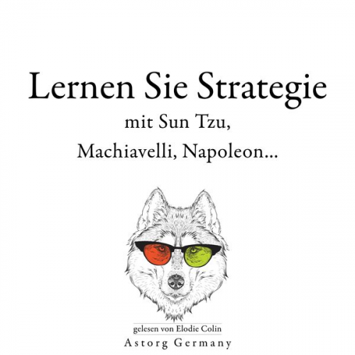 Sun Tzu Niccolò Machiavelli Napoleon Bonaparte - Lernen Sie Strategie mit Sun Tzu, Machiavelli, Napoleon...