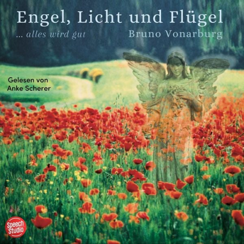 Bruno Vonarburg - Engel, Licht und Flügel