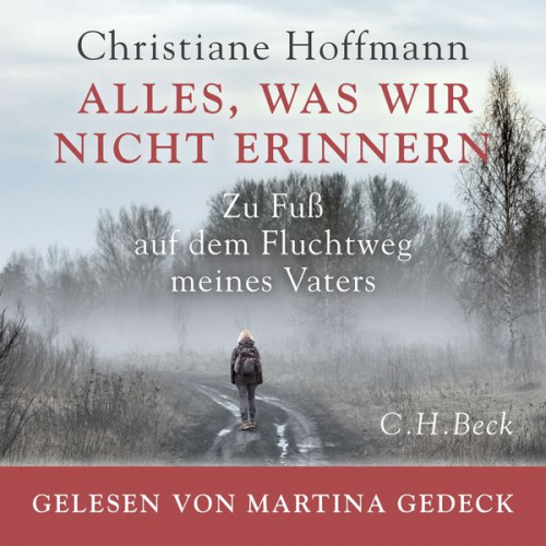 Christiane Hoffmann - Alles, was wir nicht erinnern