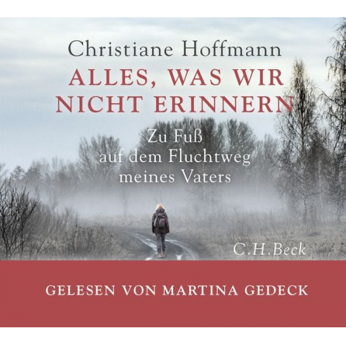 Christiane Hoffmann - Alles, was wir nicht erinnern