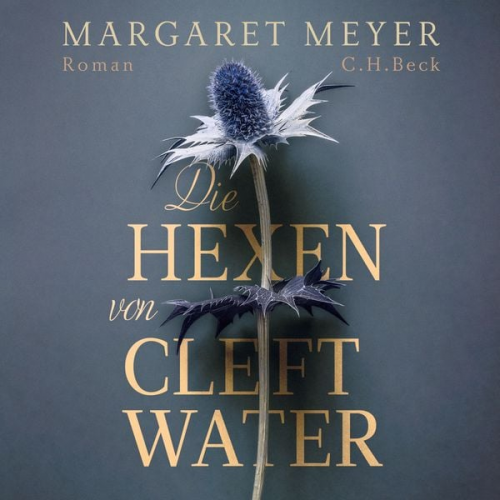 Margaret Meyer - Die Hexen von Cleftwater