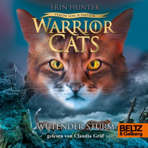 Erin Hunter Warrior Cats - Warrior Cats - Vision von Schatten. Wütender Sturm