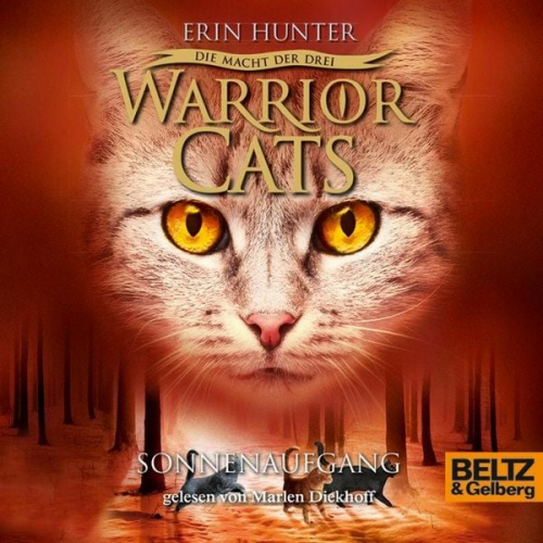 Erin Hunter Warrior Cats - Warrior Cats - Die Macht der drei. Sonnenaufgang