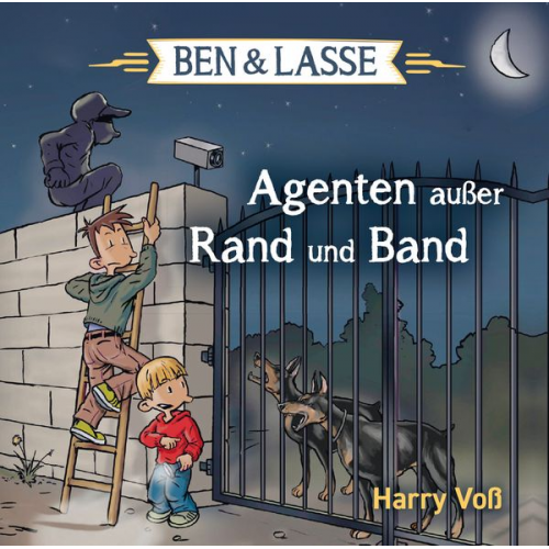 Harry Voss - Agenten außer Rand und Band