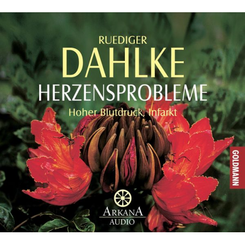 Ruediger Dahlke - Herzensprobleme