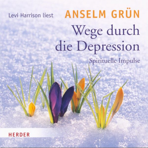 Anselm Grün - Wege durch die Depression