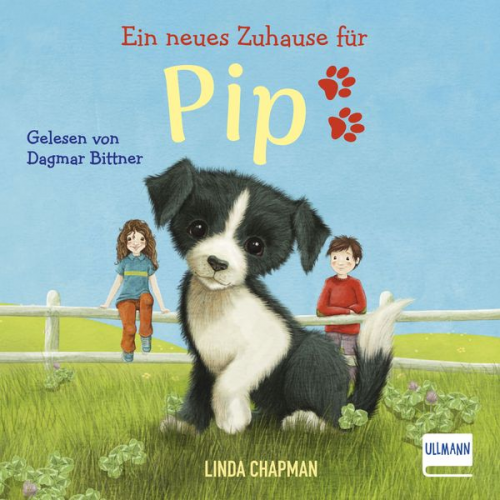 Linda Chapman - Ein neues Zuhause für Pip