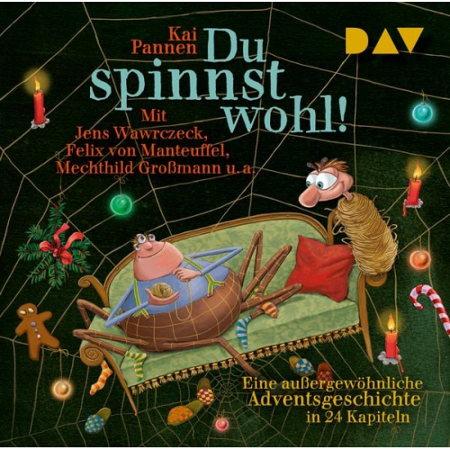 Kai Pannen - Du spinnst wohl! Eine außergewöhnliche Adventsgeschichte in 24 Kapiteln