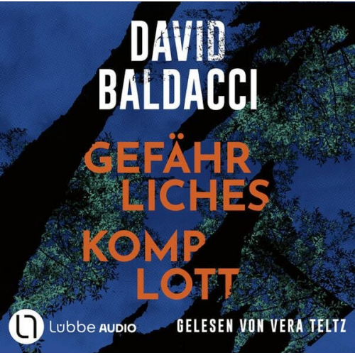 David Baldacci - Gefährliches Komplott