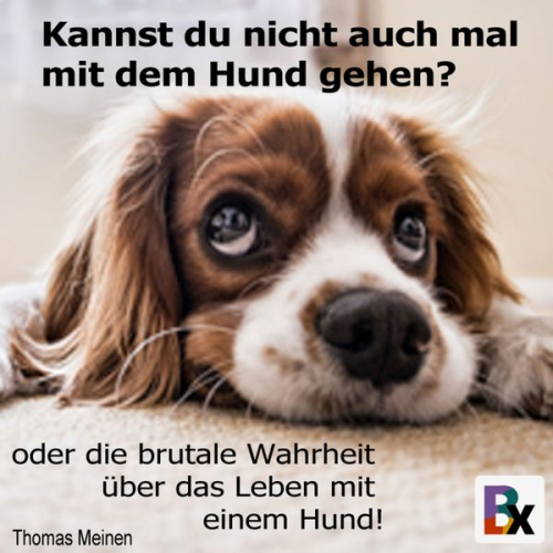 Thomas Meinen - Kannst du nicht auch mal mit dem Hund gehen?