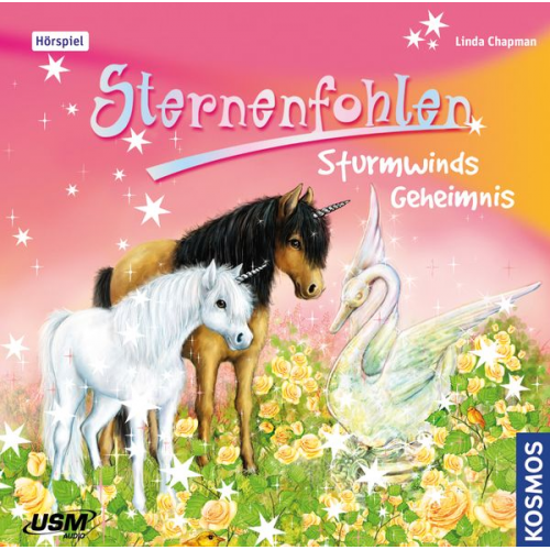 Linda Chapman - Sternenfohlen (Folge 8): Sturmwinds Geheimnis