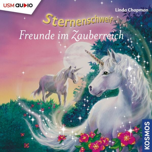 Linda Chapman - Sternenschweif (Folge 6) - Freunde im Zauberreich (Audio-CD)