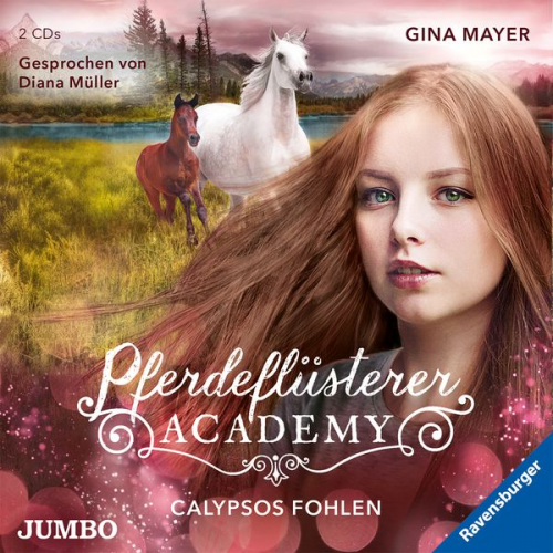 Gina Mayer - Pferdeflüsterer-Academy. Calypsos Fohlen [6]