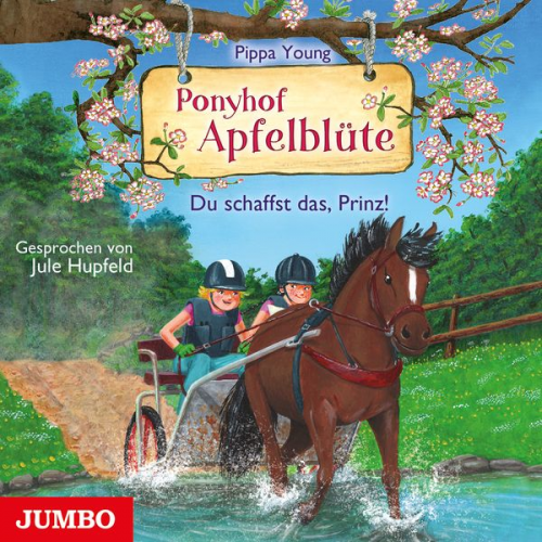 Pippa Young Jule Hupfeld - Ponyhof Apfelblüte. Du schaffst das, Prinz!