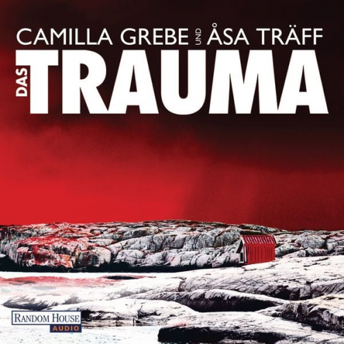 Åsa Träff Camilla Grebe - Das Trauma