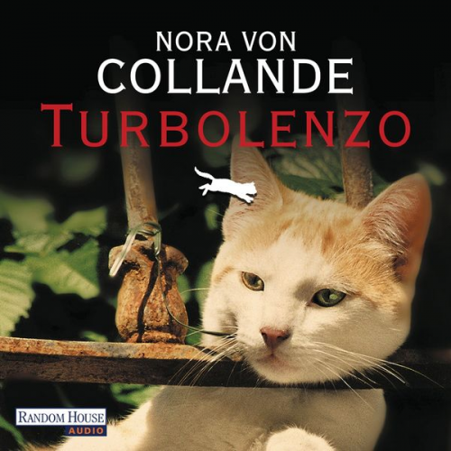 Nora Collande - Turbolenzo