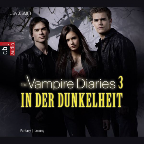 Lisa J. Smith - In der Dunkelheit / The Vampire Diaries Bd. 3