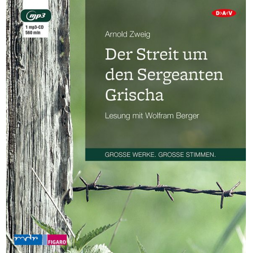 Arnold Zweig - Der Streit um den Sergeanten Grischa