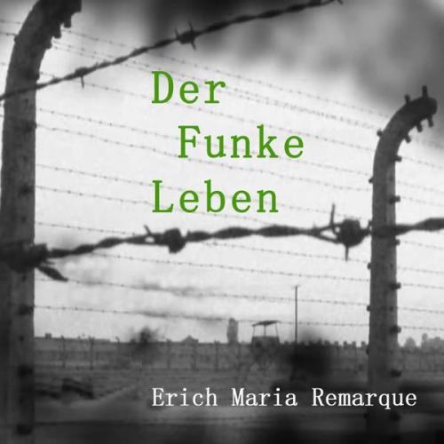 Erich Maria Remarque - Der Funke Leben