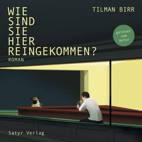 Tilman Birr - Wie sind Sie hier reingekommen?