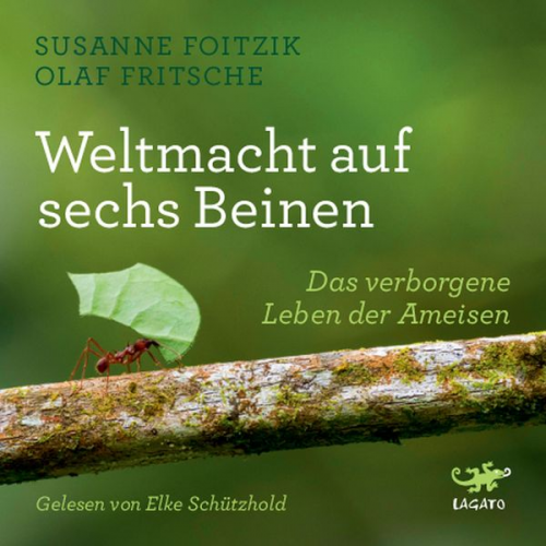 Susanne Foitzik Olaf Fritsche - Weltmacht auf sechs Beinen