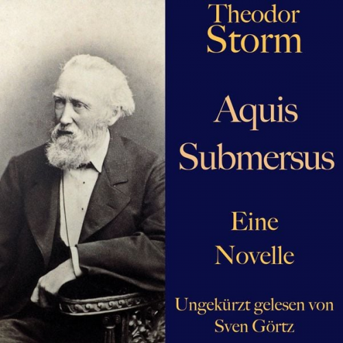 Theodor Storm - Theodor Storm: Aquis submersus