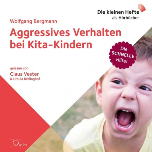 Wolfgang Bergmann - Aggressives Verhalten bei Kita-Kindern