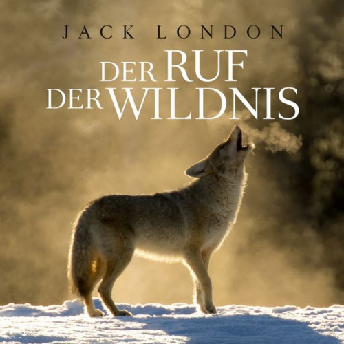 Jack London Thomas Tippner - Der Ruf der Wildnis