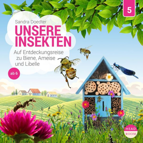 Sandra Doedter - Unsere Insekten - Auf Entdeckungsreise zu Biene, Ameise und Libelle