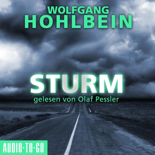 Wolfgang Hohlbein - Sturm