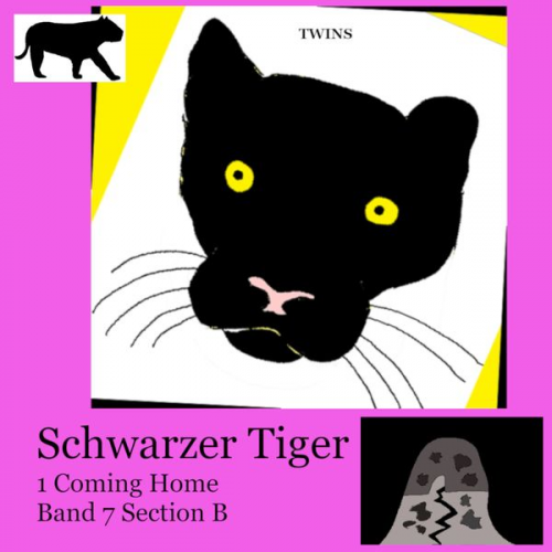 TWINS - Schwarzer Tiger 1 Coming Home