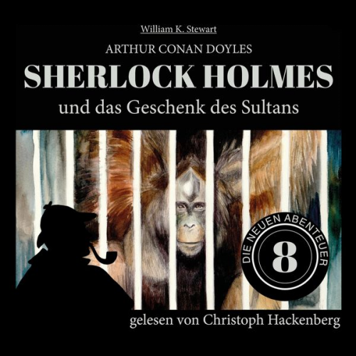 Arthur Conan Doyle William K. Stewart - Sherlock Holmes und das Geschenk des Sultans