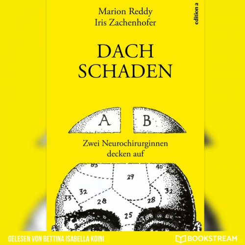 Marion Reddy Iris Zachenhofer - Dachschaden